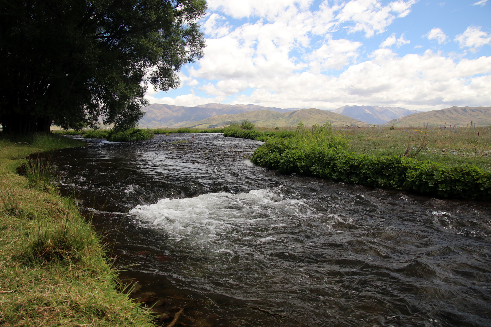 2017 12 16 Omarama 1204